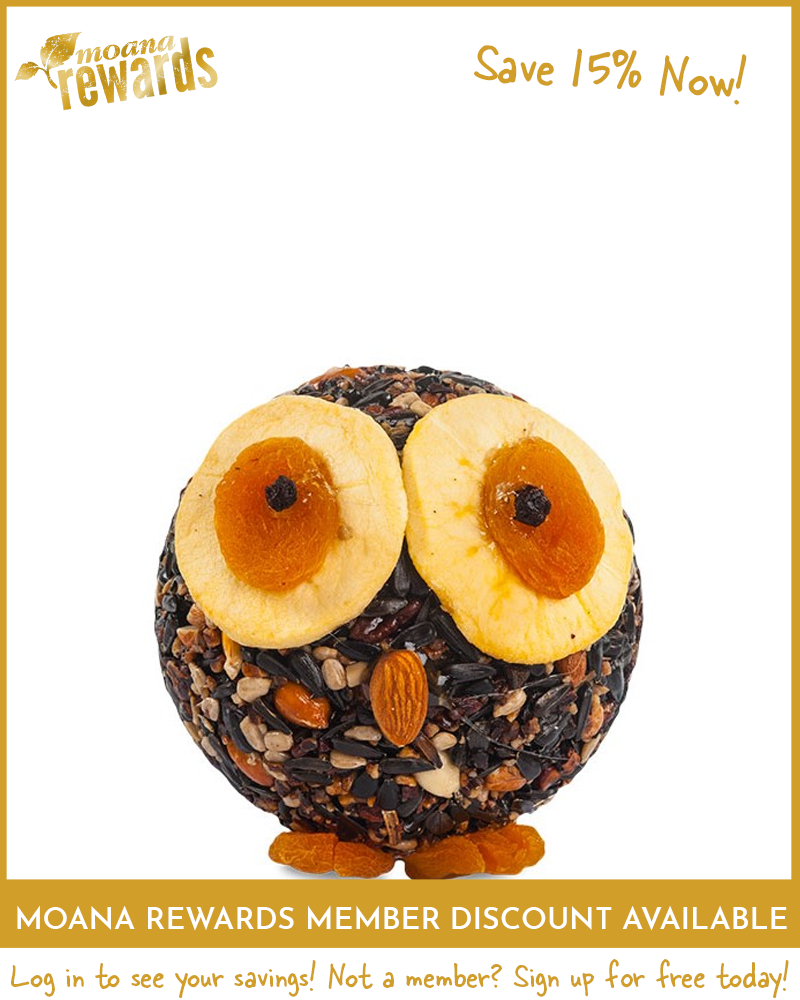 Hoot the Owl Seed Character