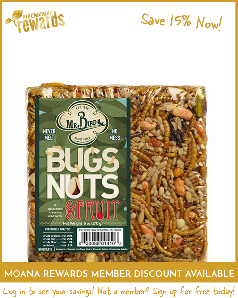 Bugs, Nuts & Fruit Seed Cake Small
