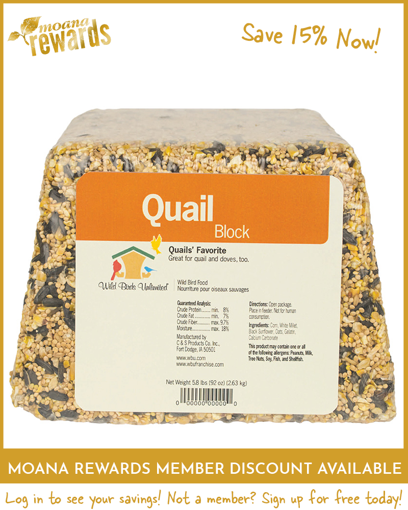 Quail Birdseed Block 5.5lb