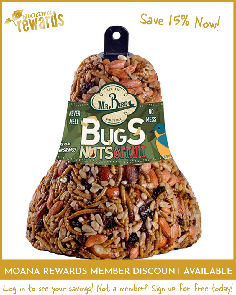 Bugs, Nuts & Fruit Seed Bell