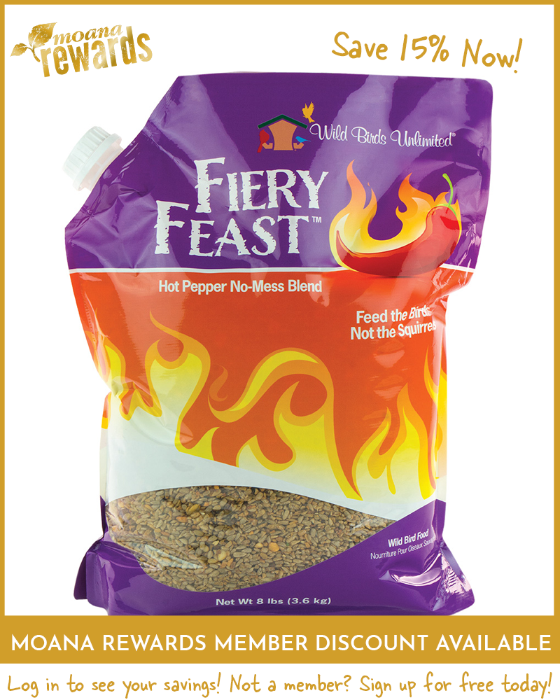 Fiery Feast Birdseed 8lb