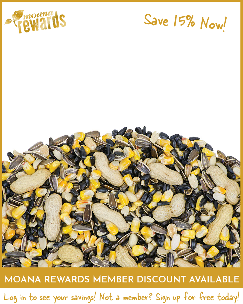 Wildlife Blend Birdseed 5lb