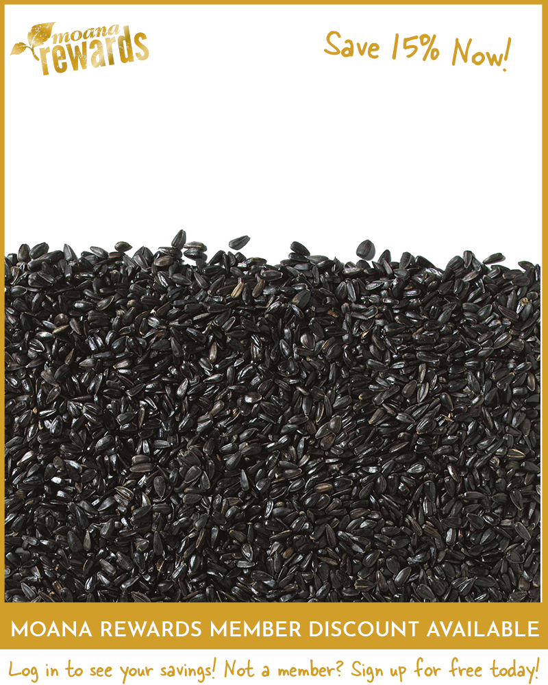 Premium Black Oil Sunflower Birdseed 5lb