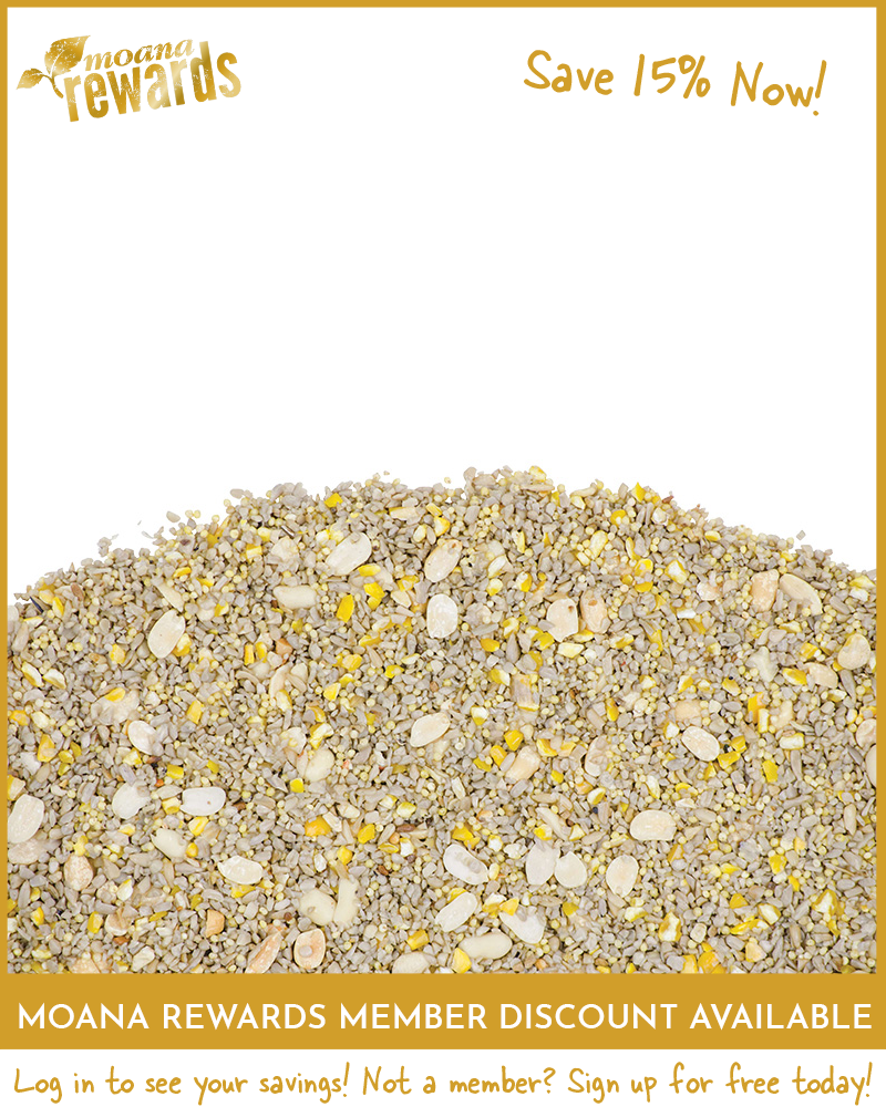 Fine Sunflower Birdseed 5lb