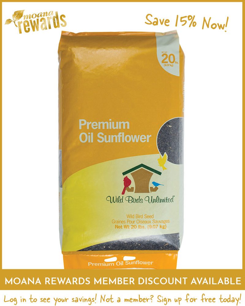 Premium Black Oil Sunflower Birdseed 20lb