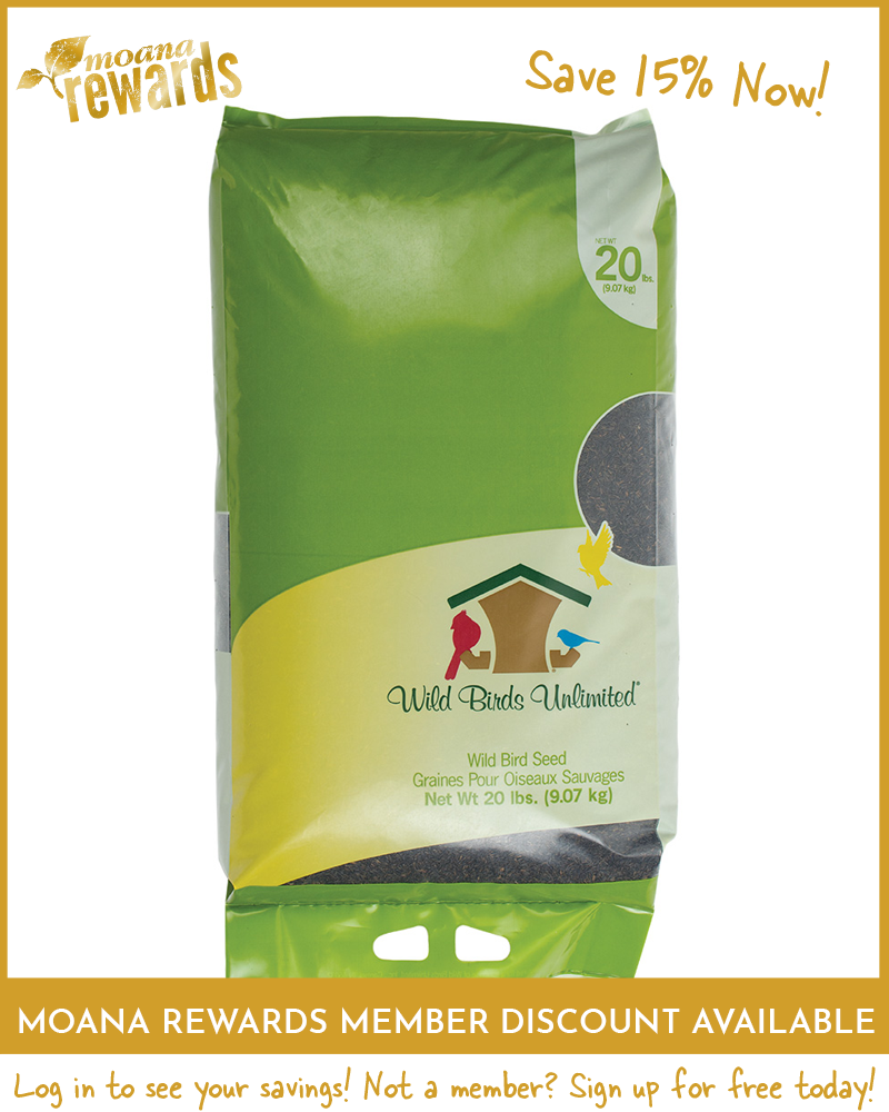 Nyjer Birdseed 20lb