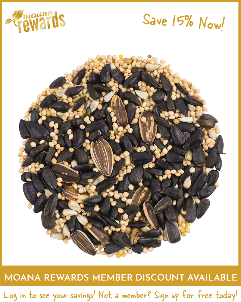 Deluxe Blend Birdseed 10lb