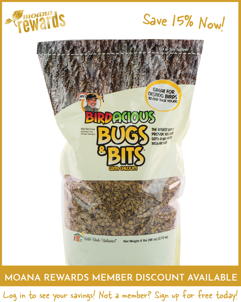 Suet Bugs and Bits Bark Butter 6lb