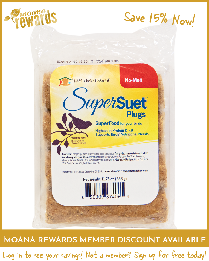 Suet Plugs SuperSuet No-Melt
