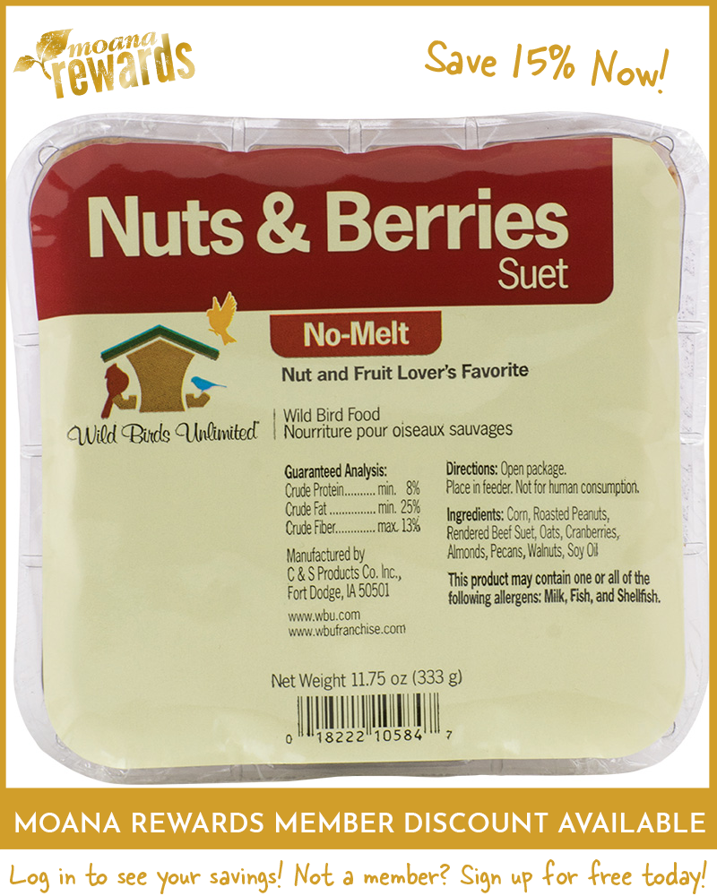 Suet Cake No-Melt Nuts and Berries