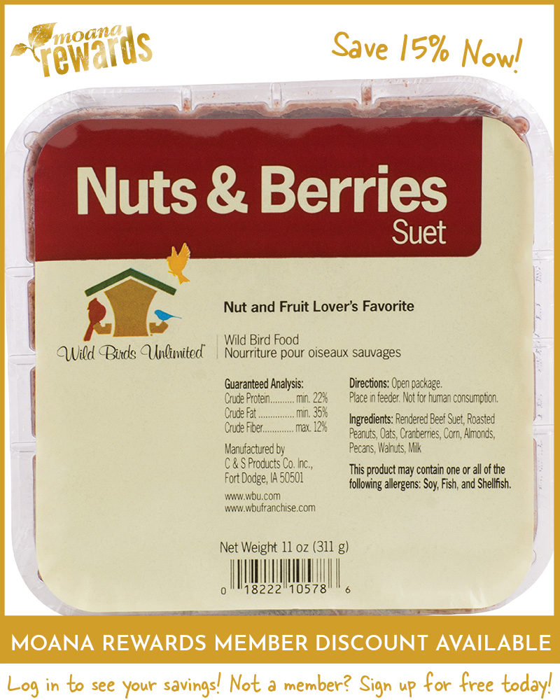 Suet Cake Nuts & Berries