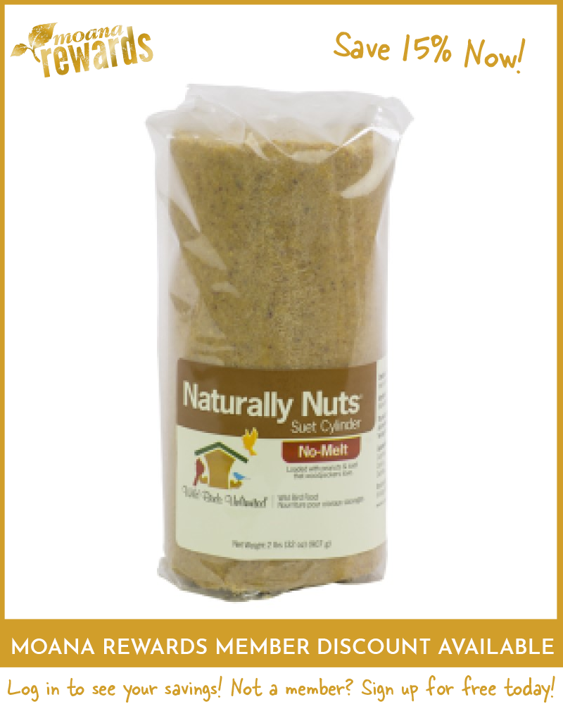 Suet Cylinder No-Melt Naturally Nuts