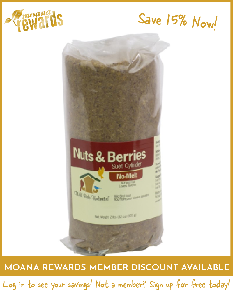 Suet Cylinder No-Melt Nuts & Berries