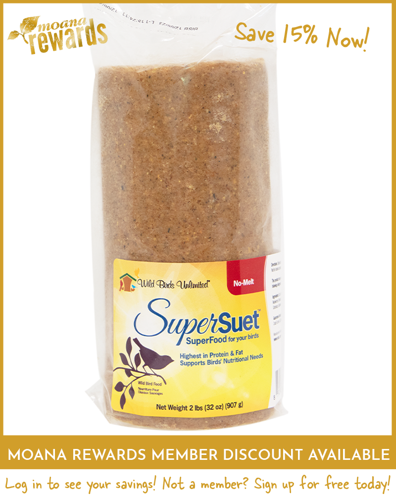 Suet Cylinder Supersuet No-Melt