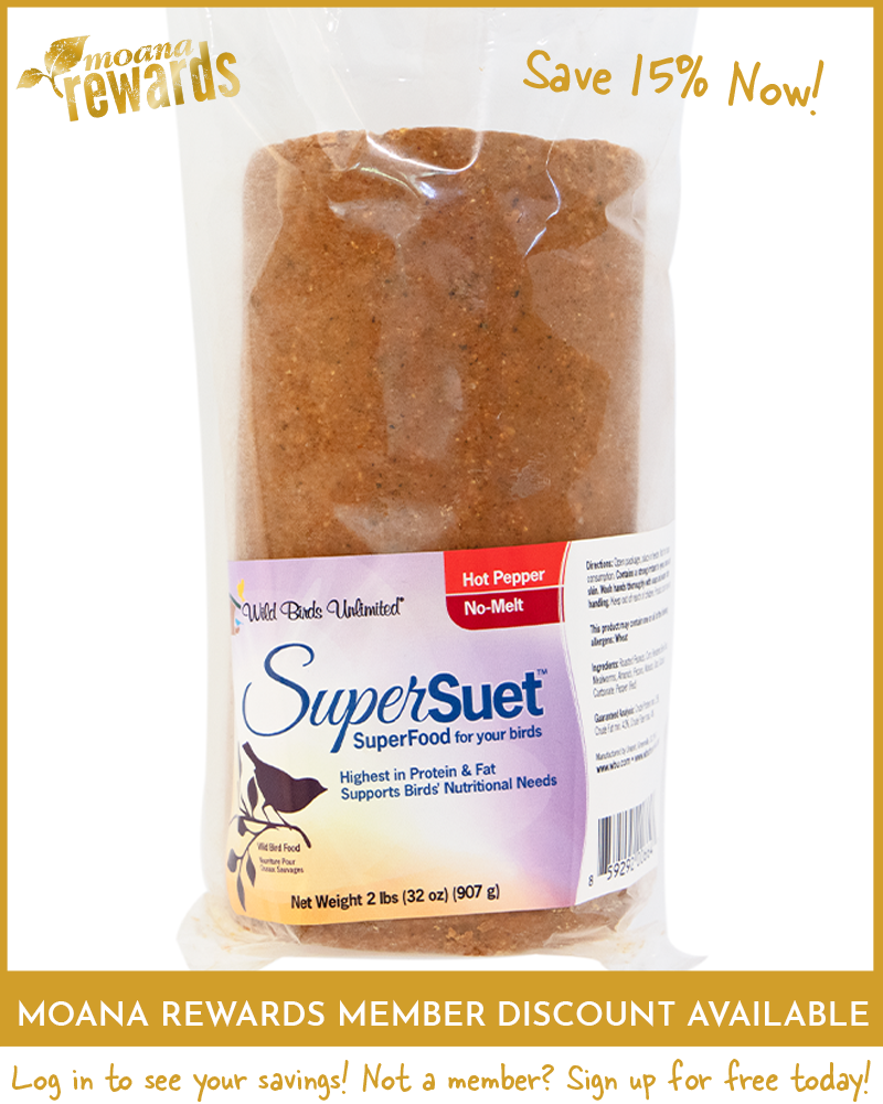 Suet Cylinder SuperSuet No-Melt Hot Pepper