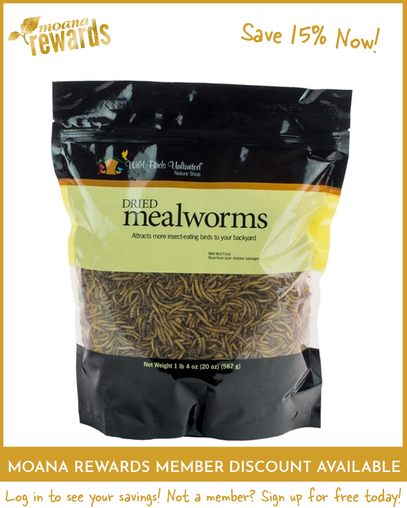Mealworms Pouch 20oz