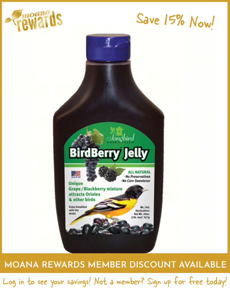 BirdBerry Jelly