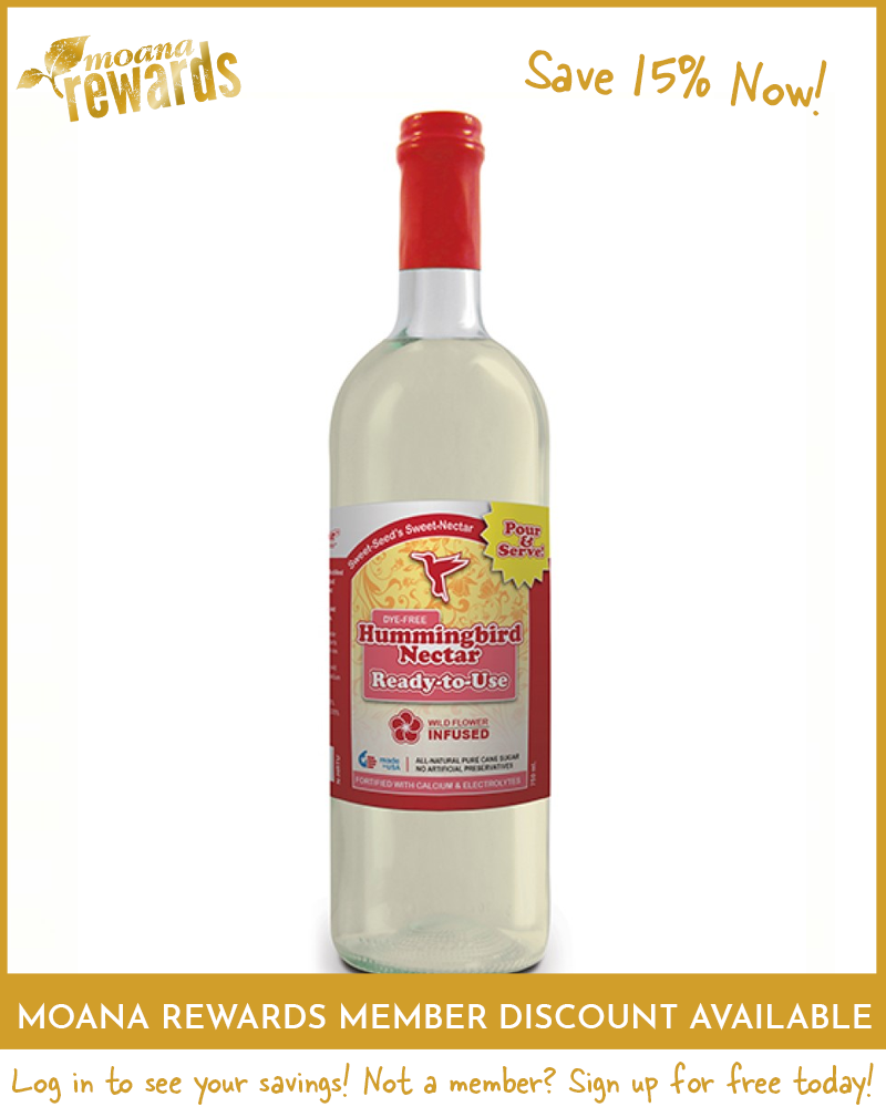 Ready-to-Use Hummingbird Nectar - Bottle