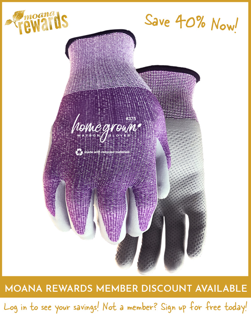 Watson Gloves Homegrown Karma Large