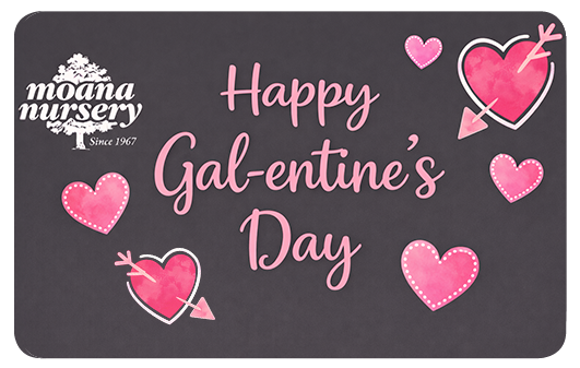 Happy Gal-entine's Day!