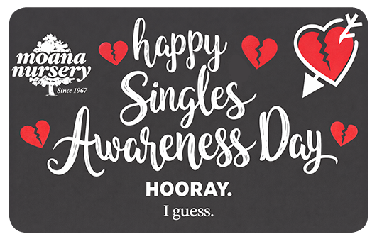 Happy Singles Awareness Day!