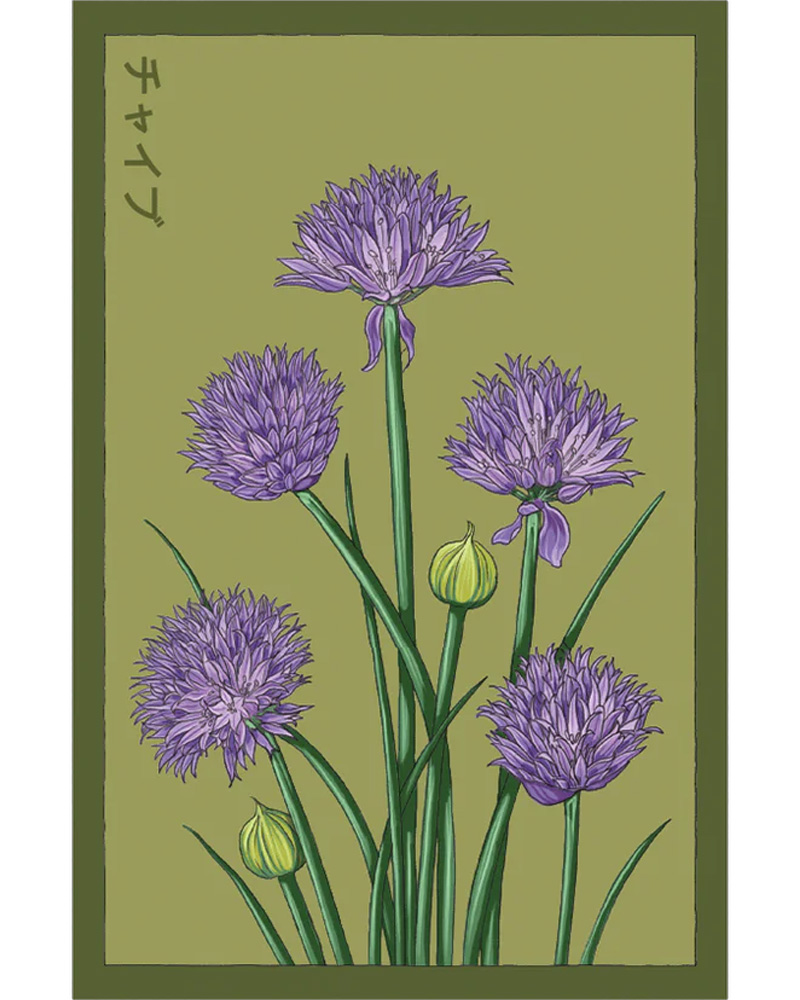 Chives