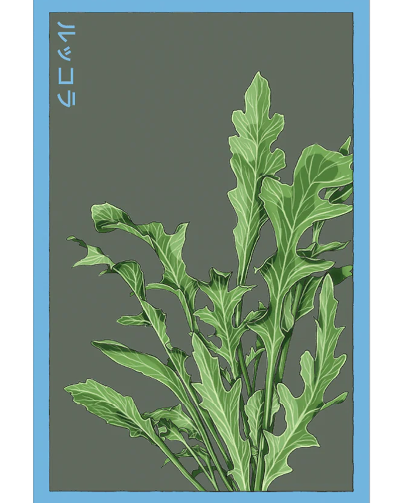 Arugula