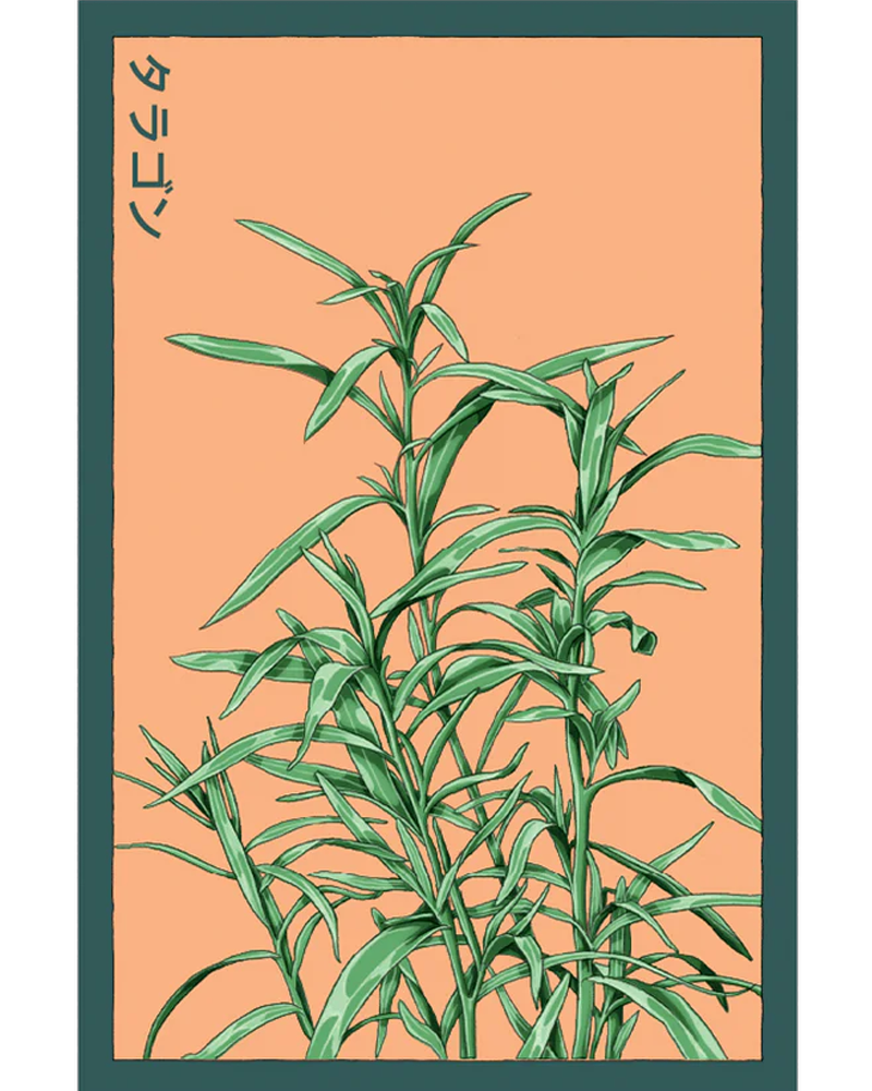 Tarragon