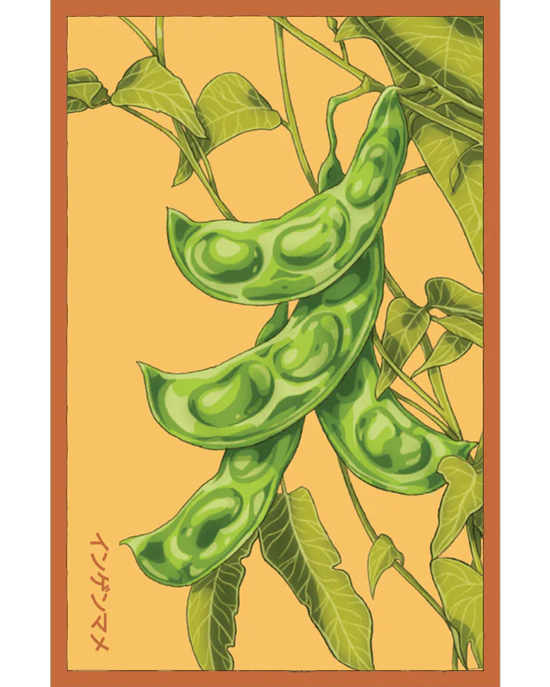 King of the Garden Bean