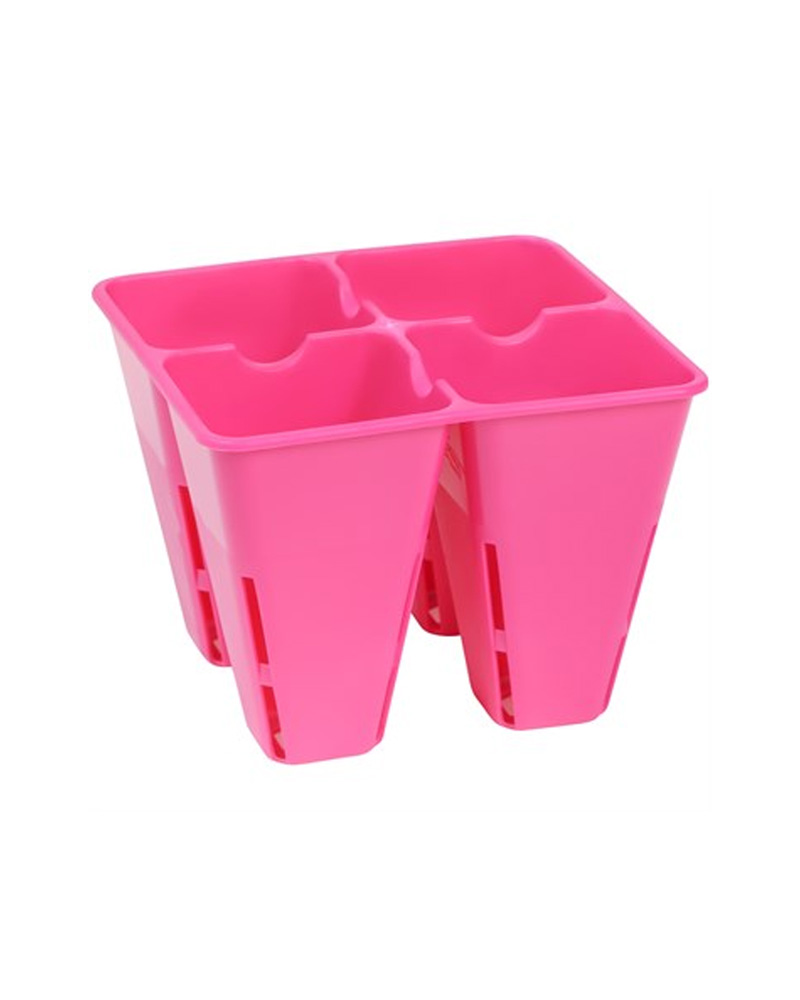 Sunpack 4 Cell Plug Tray Insert Pink