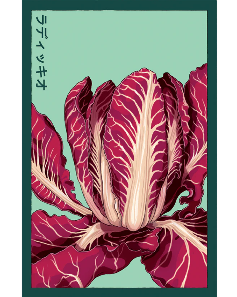 Radicchio