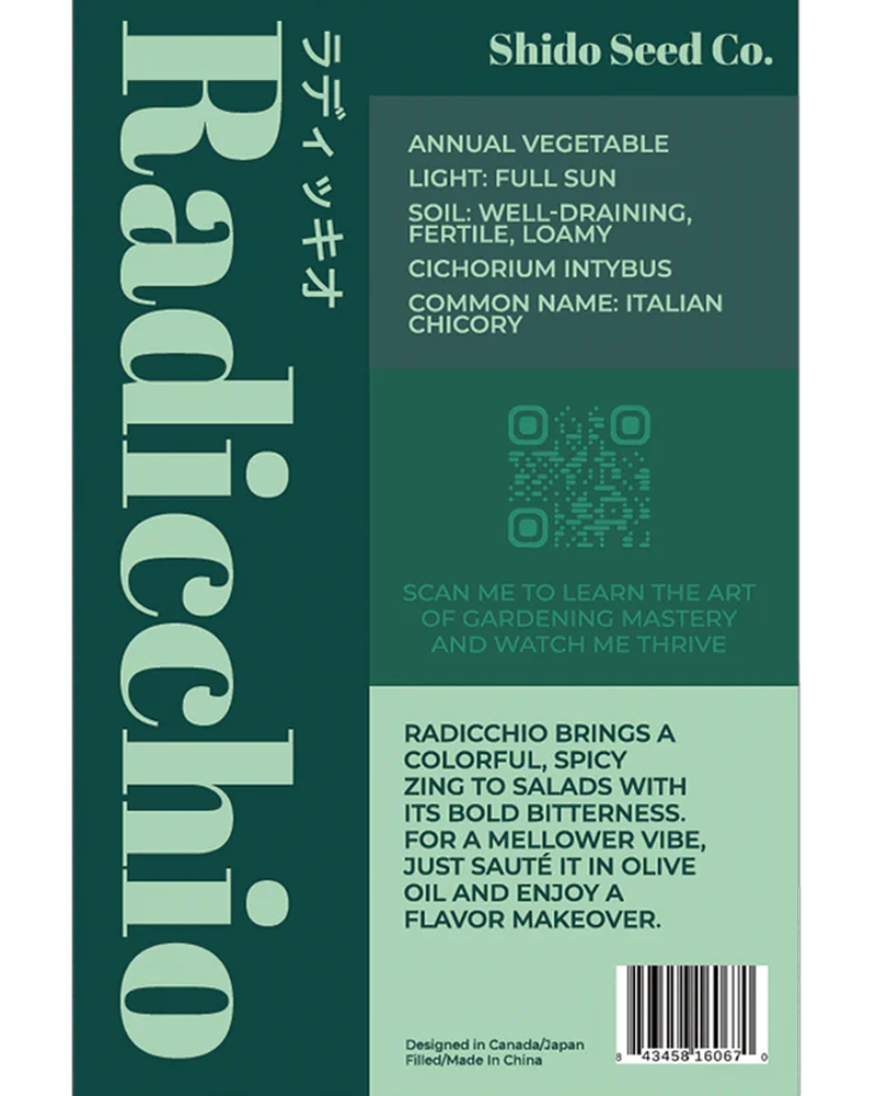 Radicchio