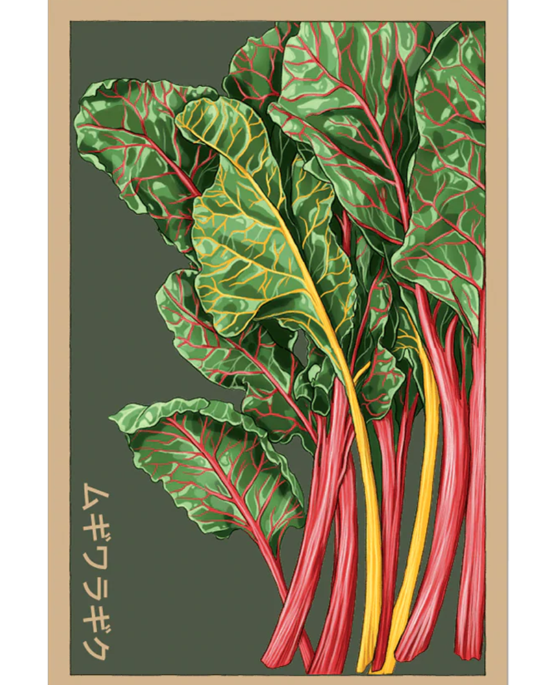 Rainbow Chard