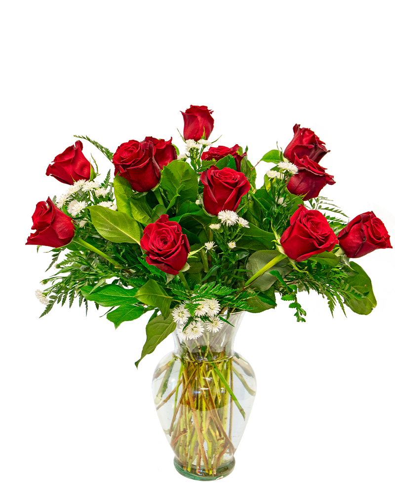 Dozen Red Roses Floral Arrangement from $100-$150