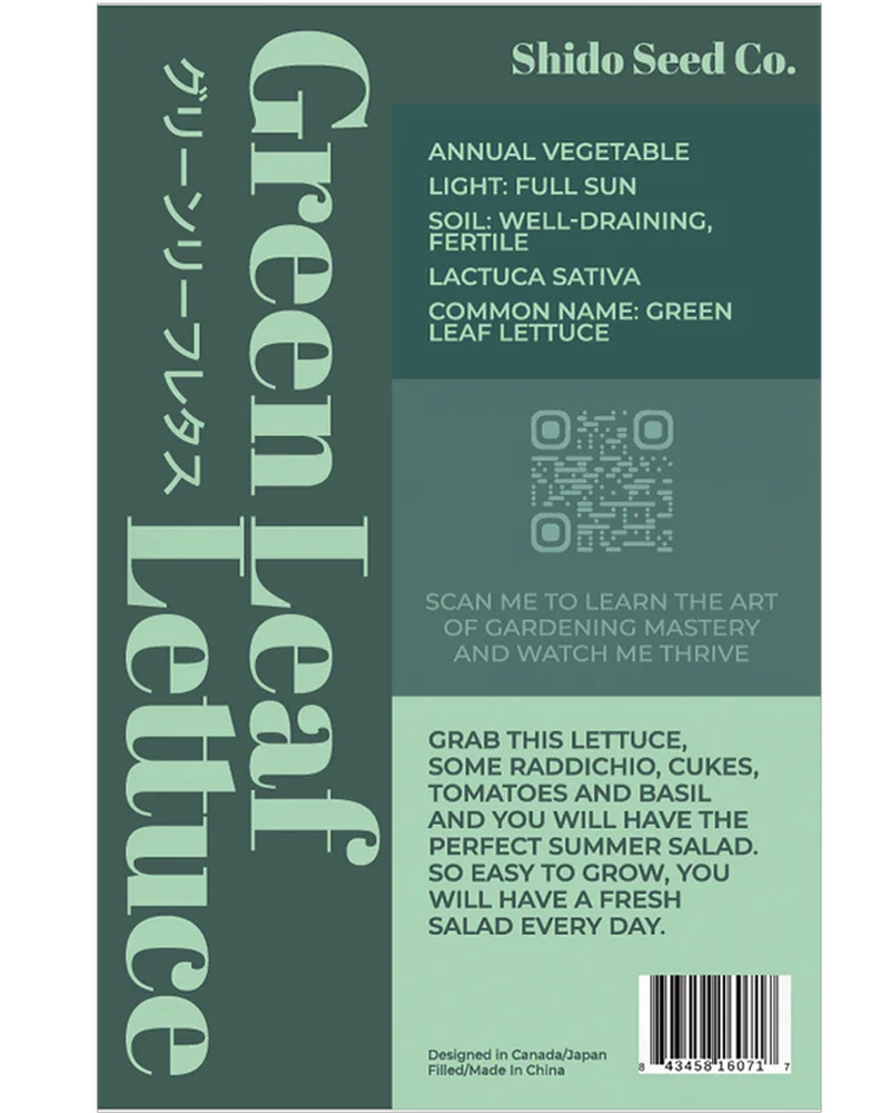 Green Leaf Lettuce
