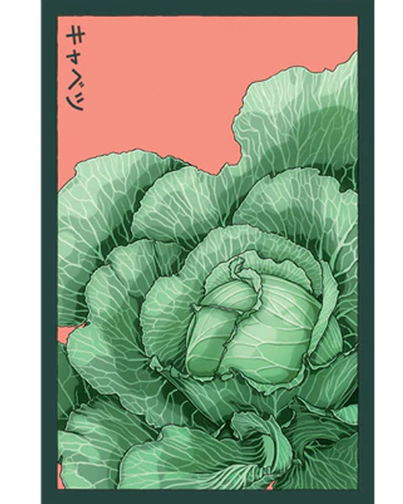 Cabbage
