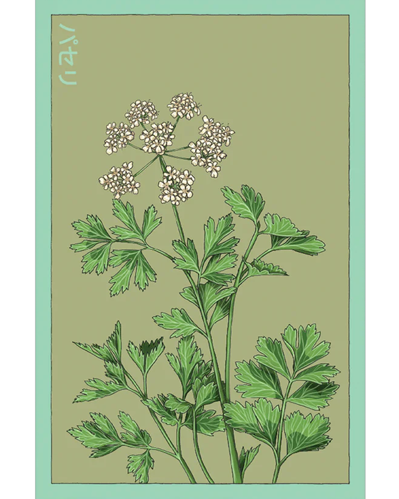 Parsley
