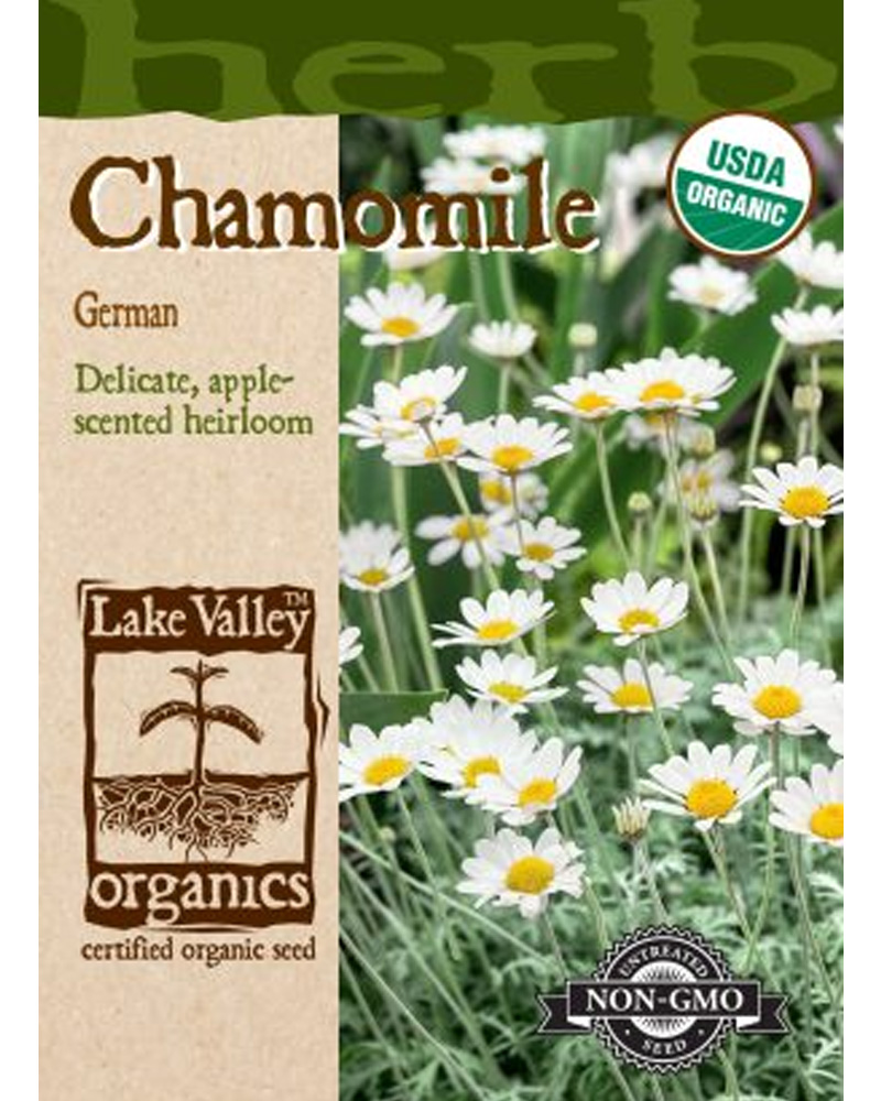Chamomile Organic