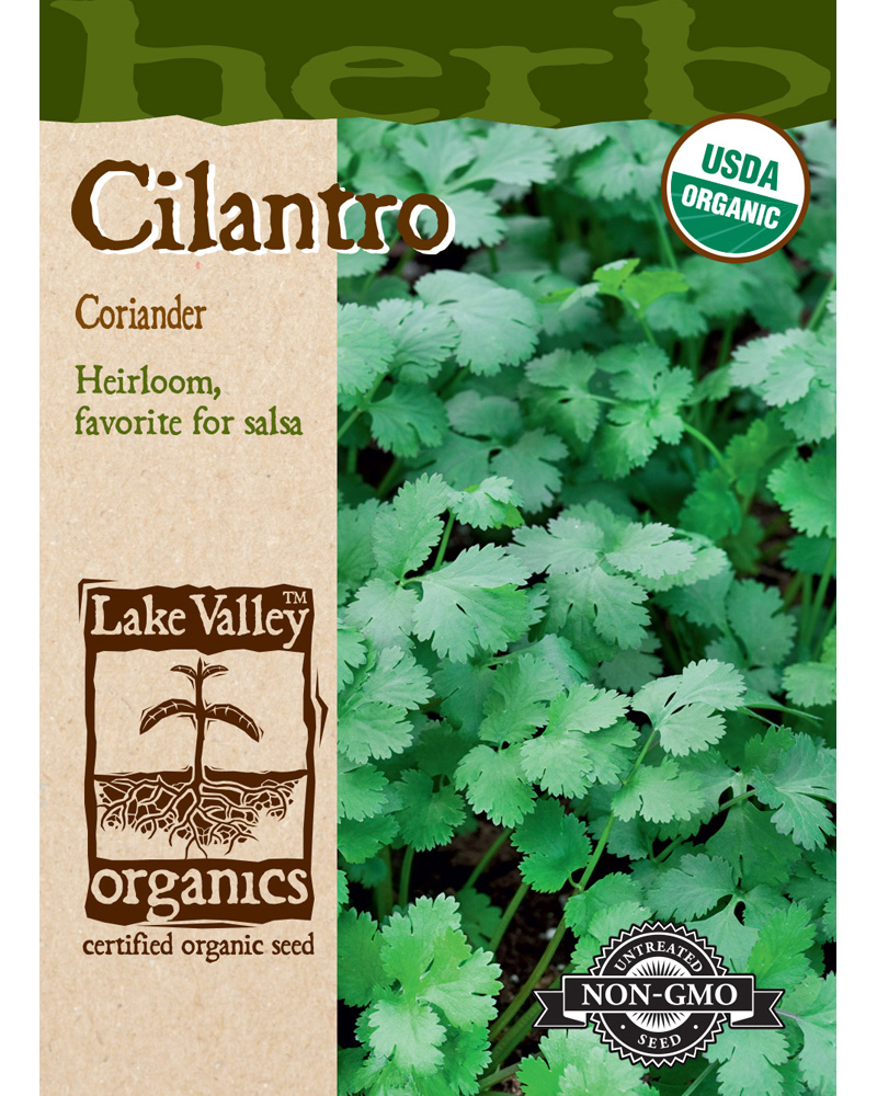 Cilantro Organic