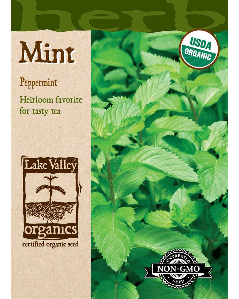 Mint Peppermint Organic