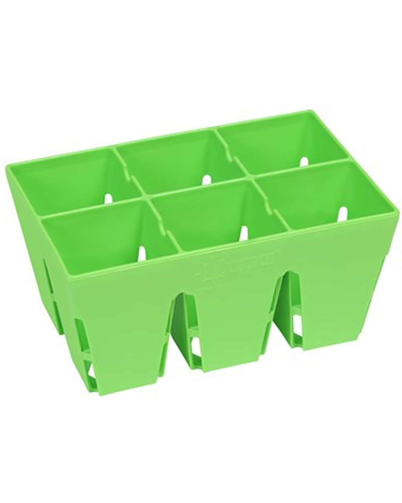Sunpack 6 Cell Plug Tray Insert Green