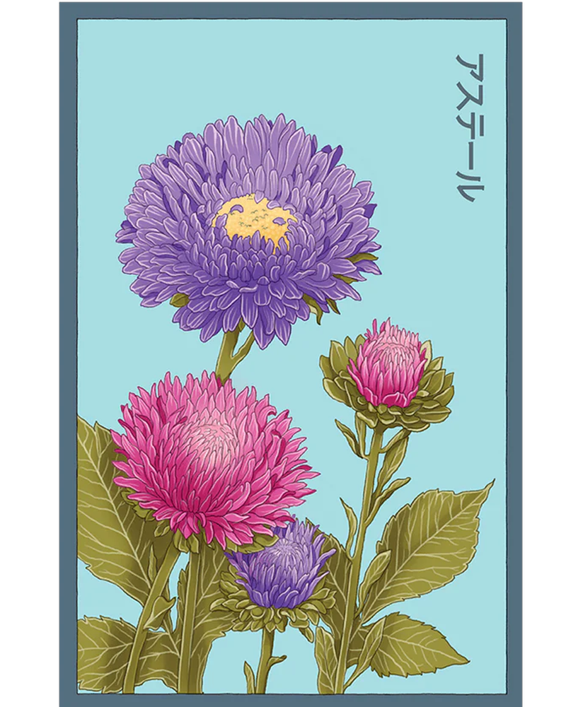 Aster Flower