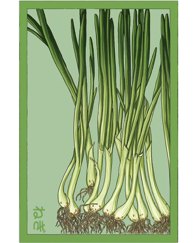 Scallions