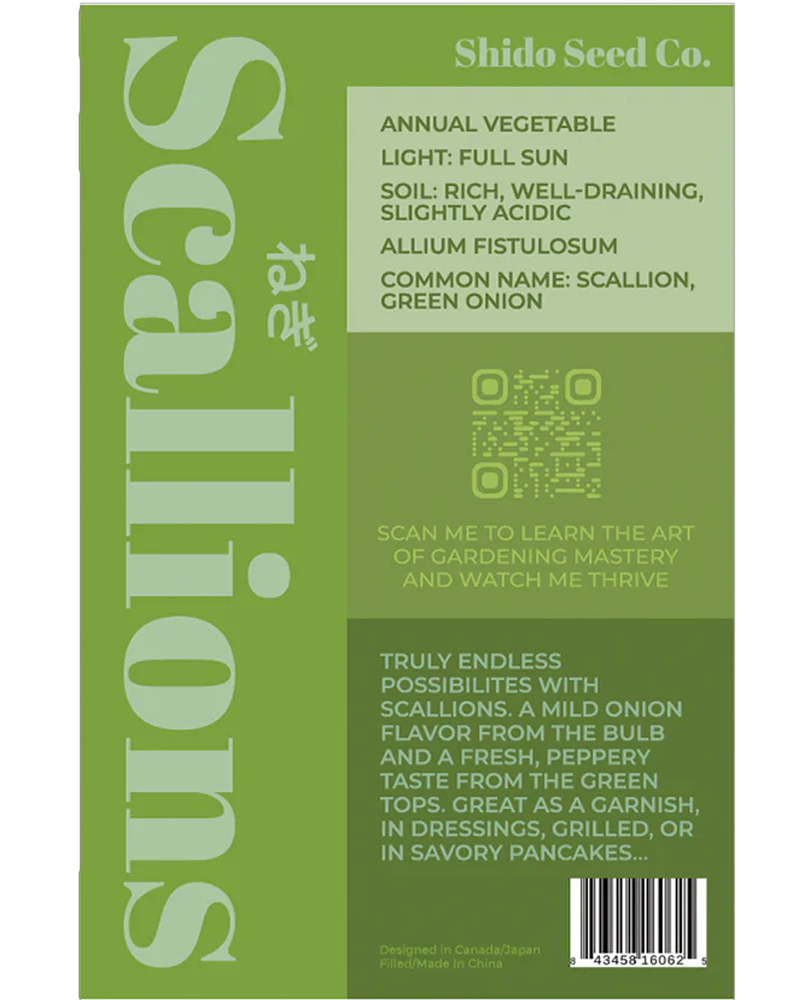 Scallions