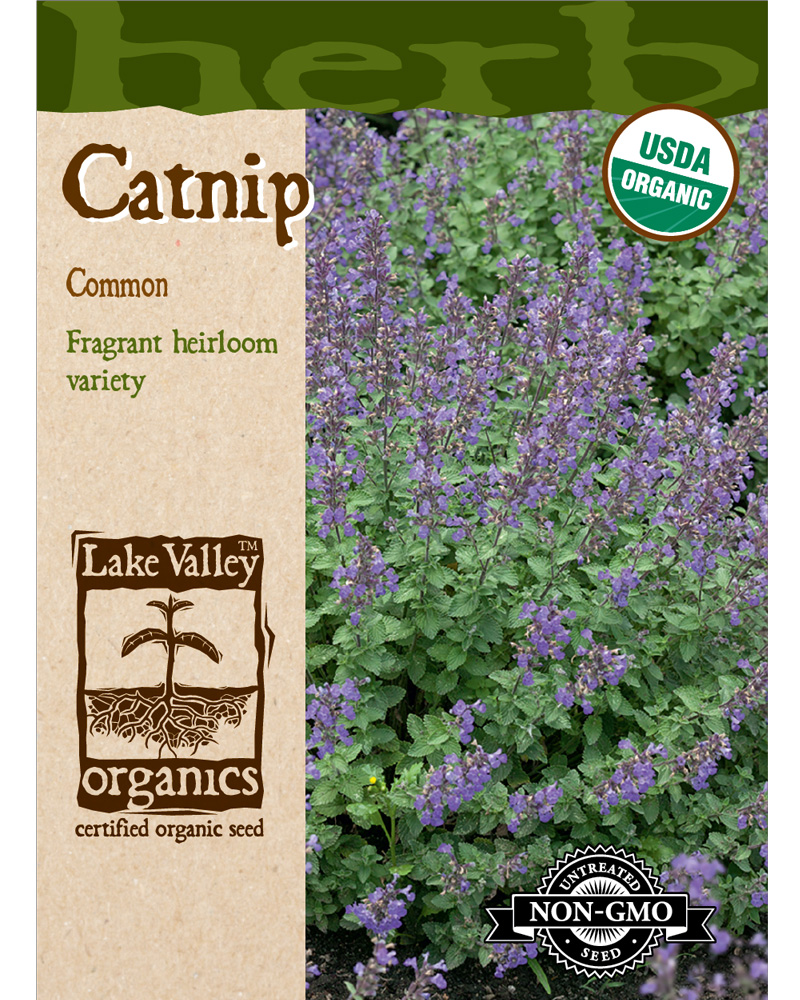 Catnip Organic