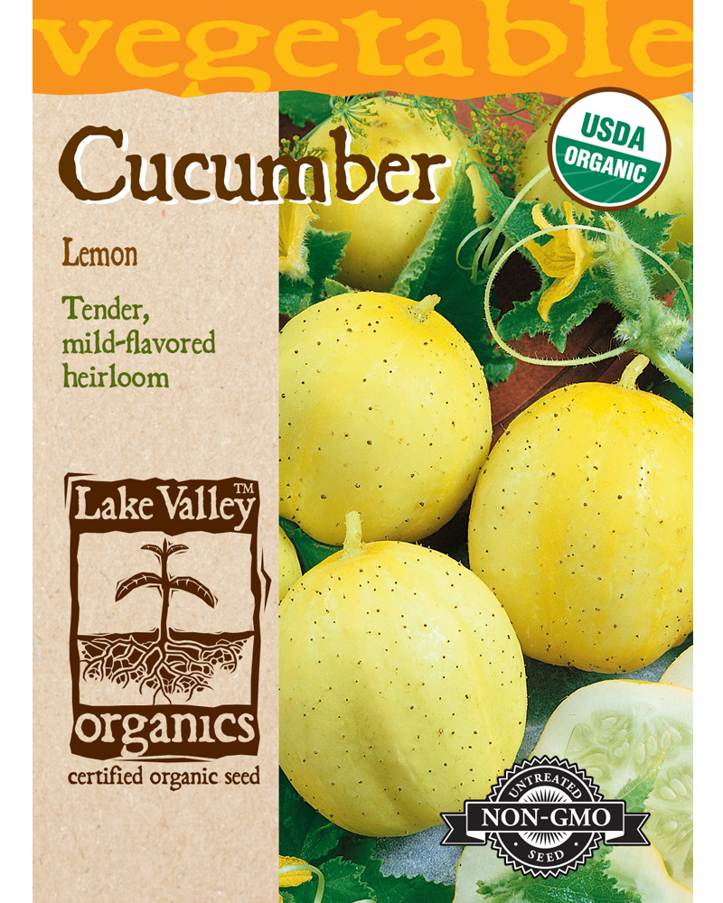 Cucumber Lemon Organic