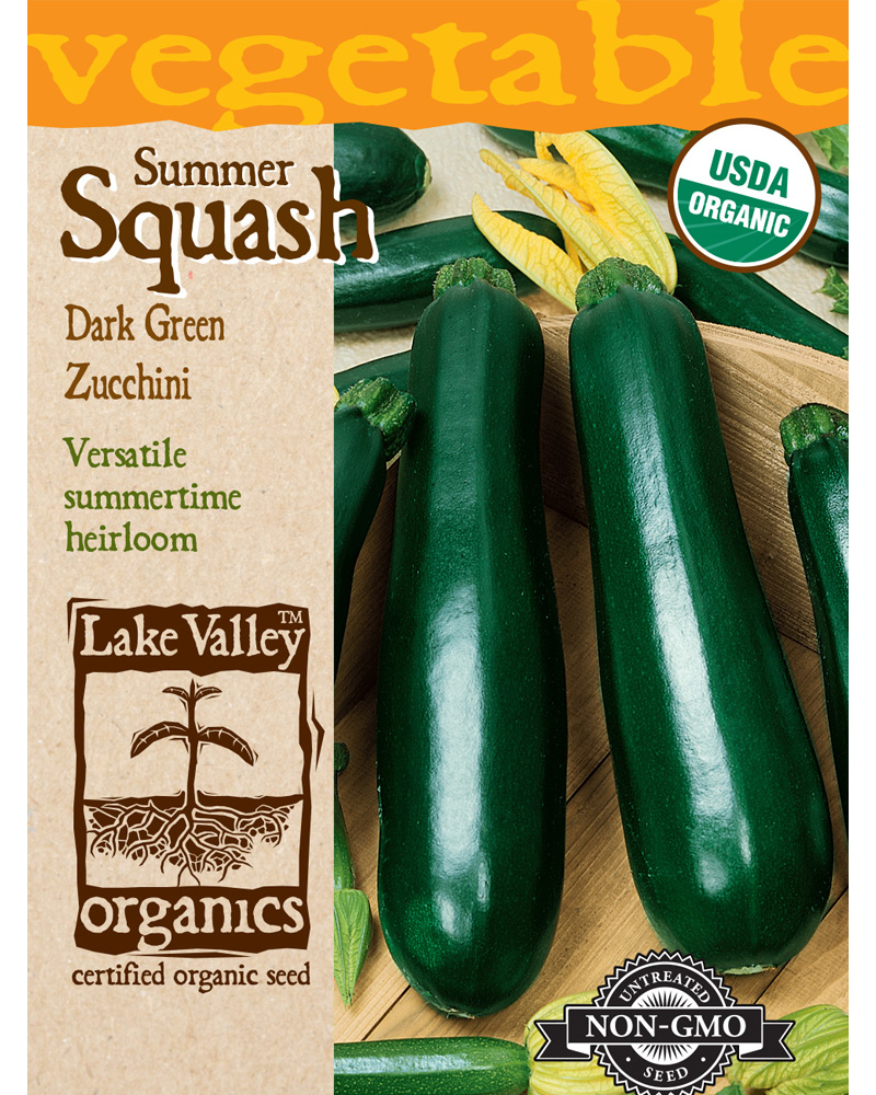 Squash (Summer) Zucchini Dark Green Organic