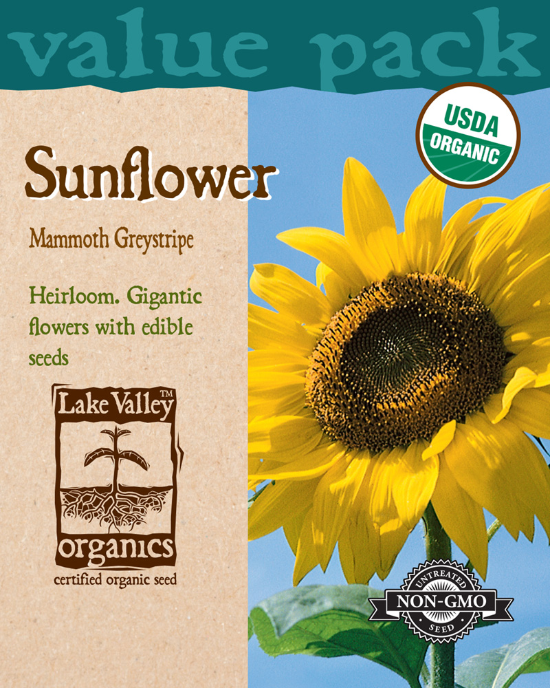 Sunflower Mammoth Greystripe Organic Value Pack