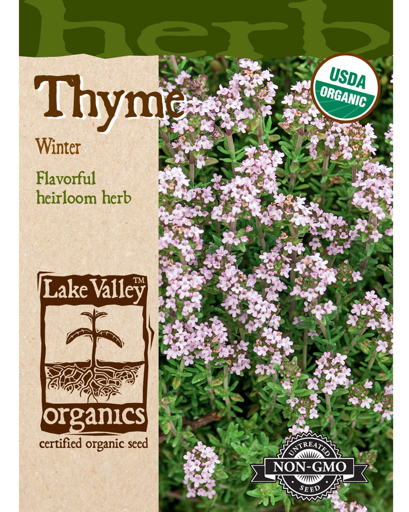 Thyme Winter Organic