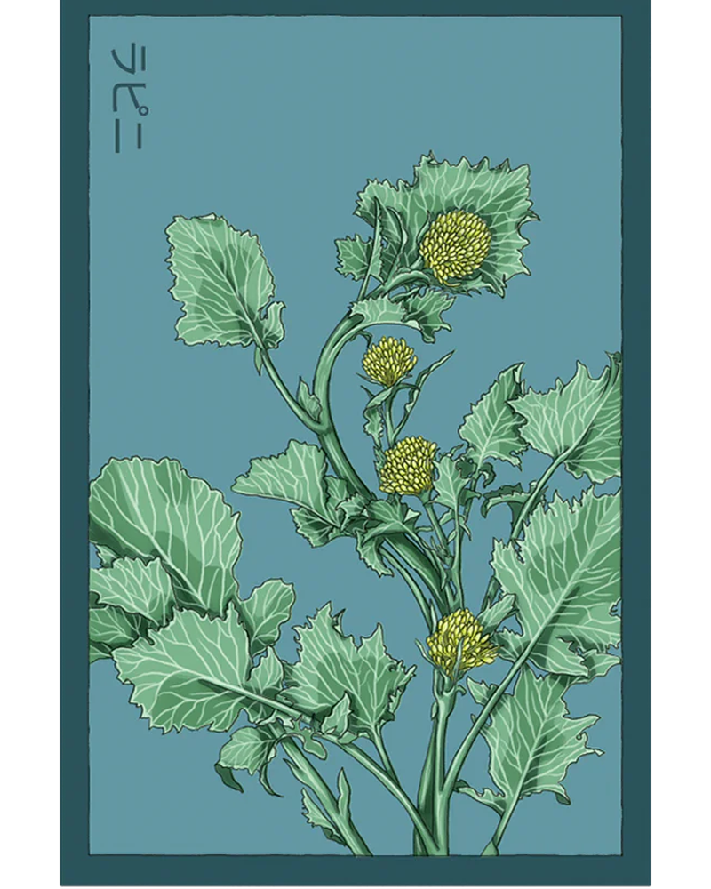 Rapini (Broccoli Rabe)